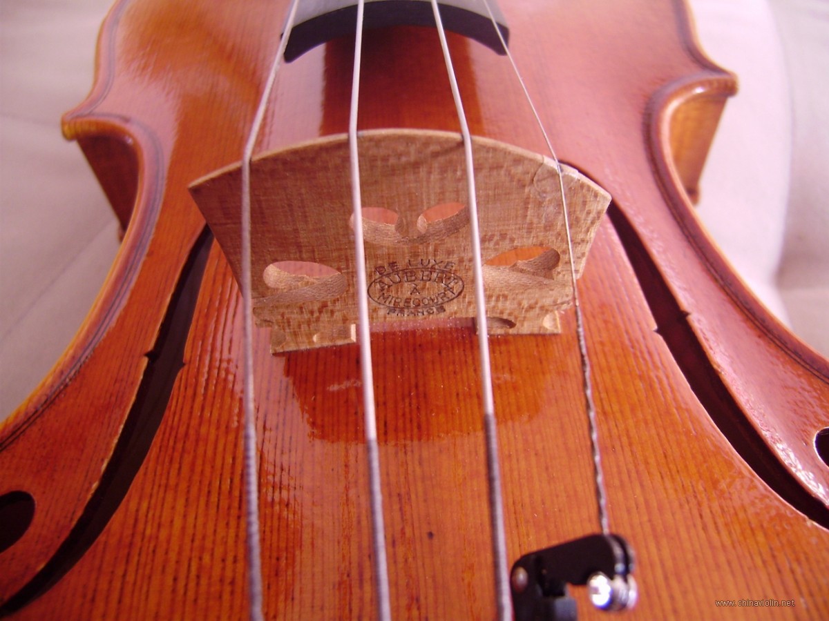 P1010035.JPG