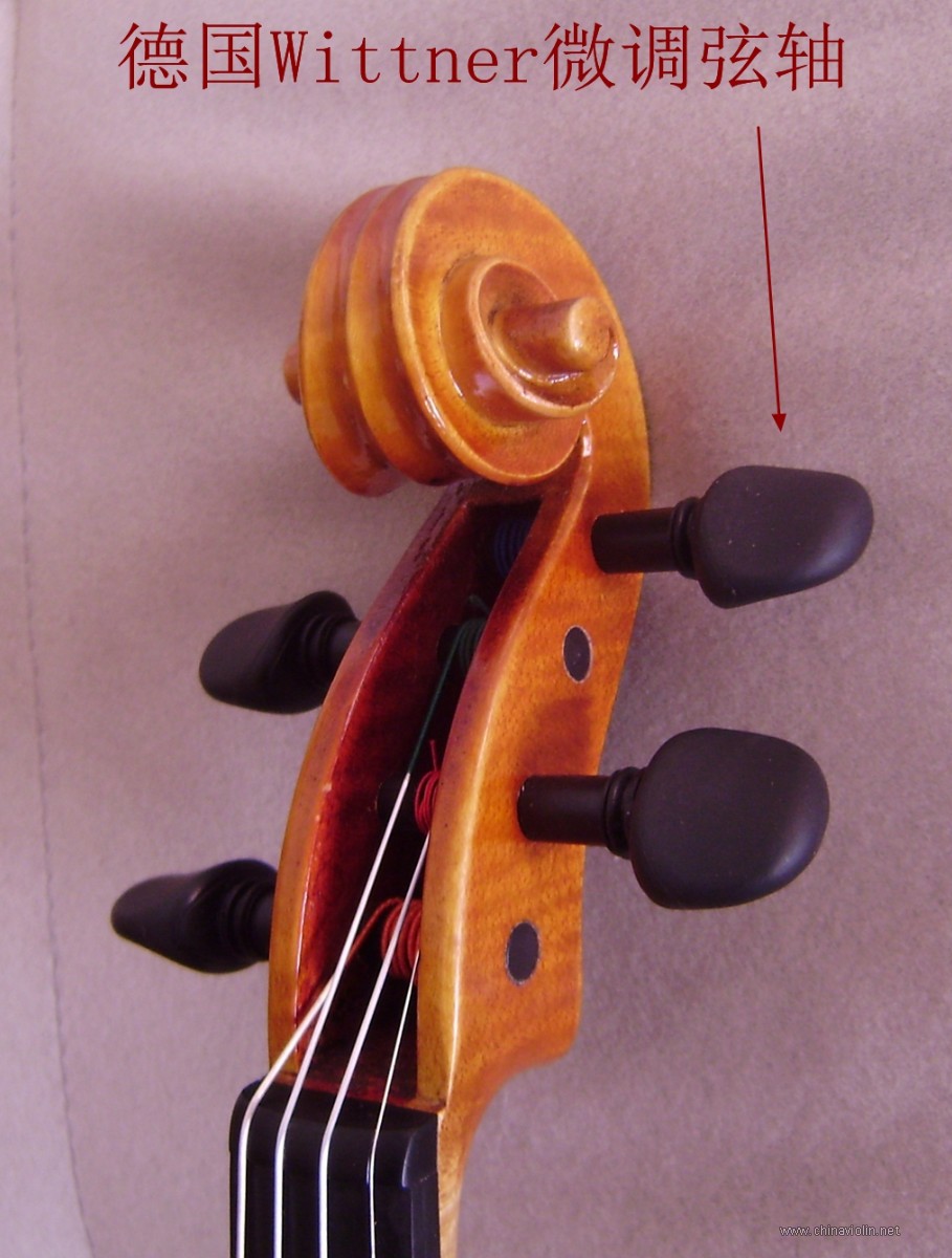 P1010021.JPG