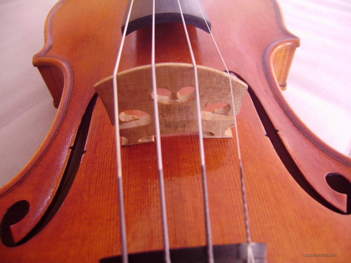 P1010024.JPG