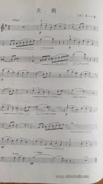 音乐天使NO04天鹅