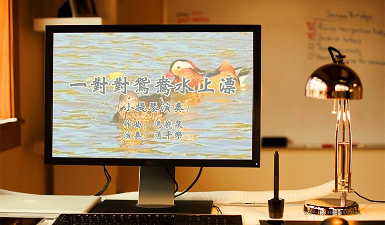 uvs200321-001.jpg
