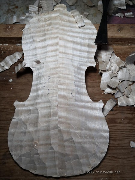 IMG_20200326_100239.jpg