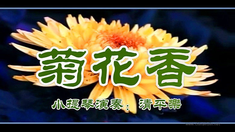《菊花香》（小提琴演奏）