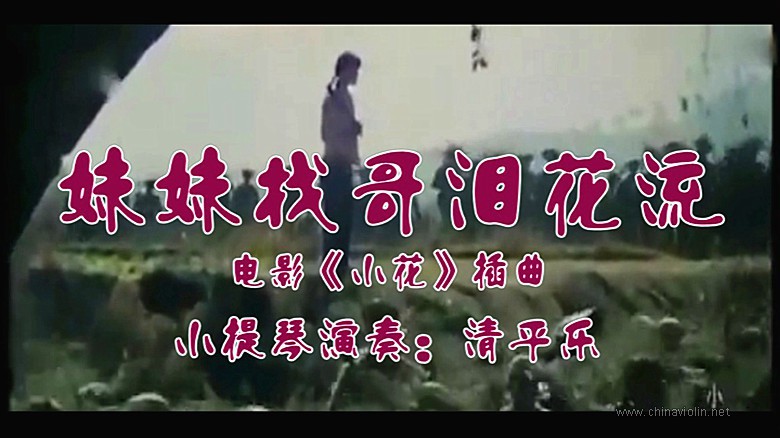 《妹妹找哥泪花流》妹妹找哥泪花流（小提琴演奏）