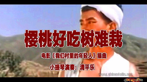 《樱桃好吃树难栽》（小提琴演奏）