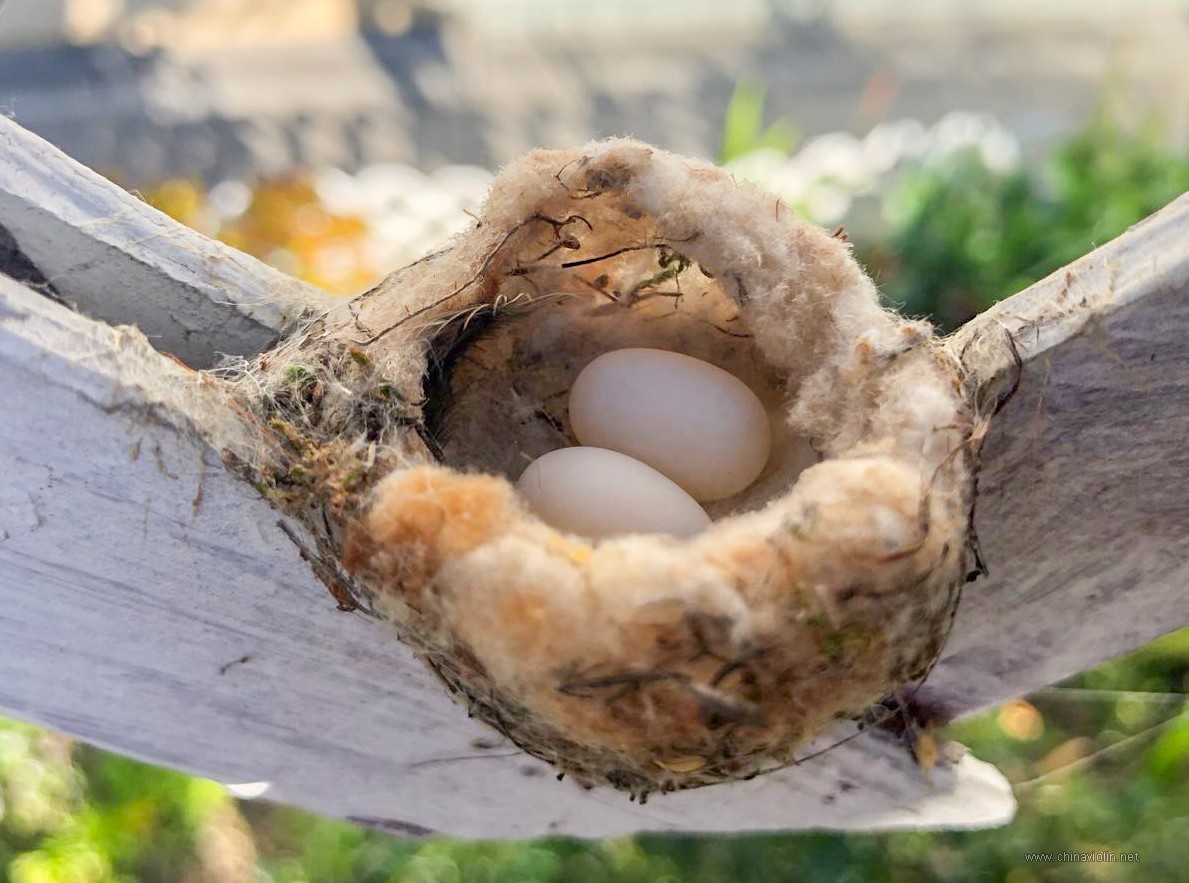 WeChat Image_20200504210808.jpg