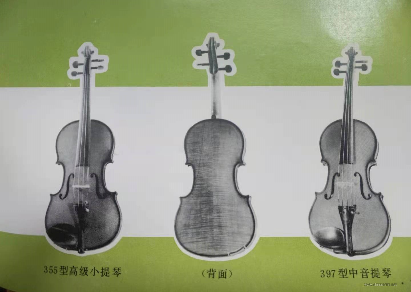 06.jpg