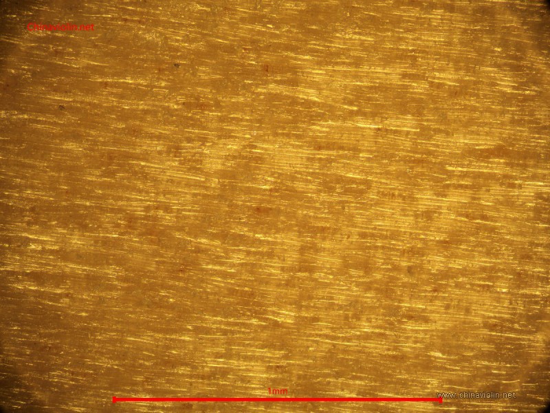 p50x.jpg