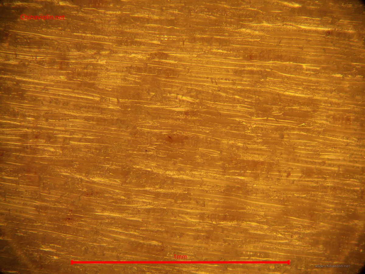 p100x.jpg