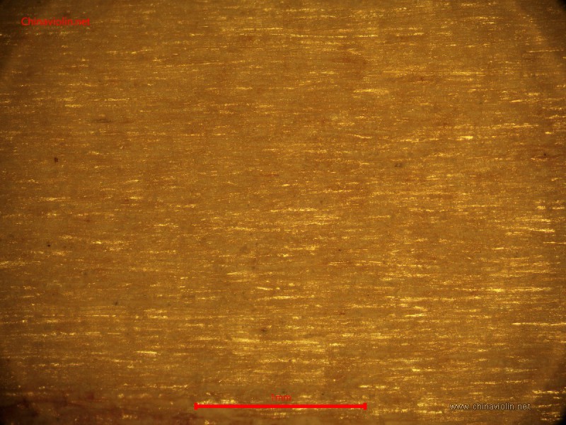 s50x.jpg