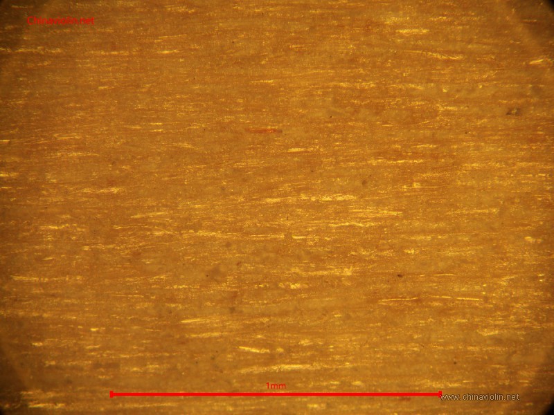 s100x.jpg
