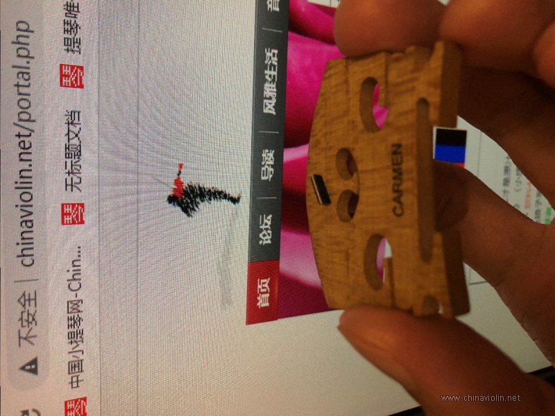 小提琴镶边（镶线）黑白线显微照