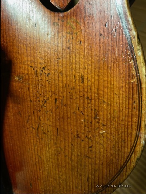 image12.jpg
