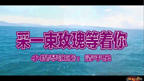 《采一束玫瑰等着你》 （小提琴演奏）