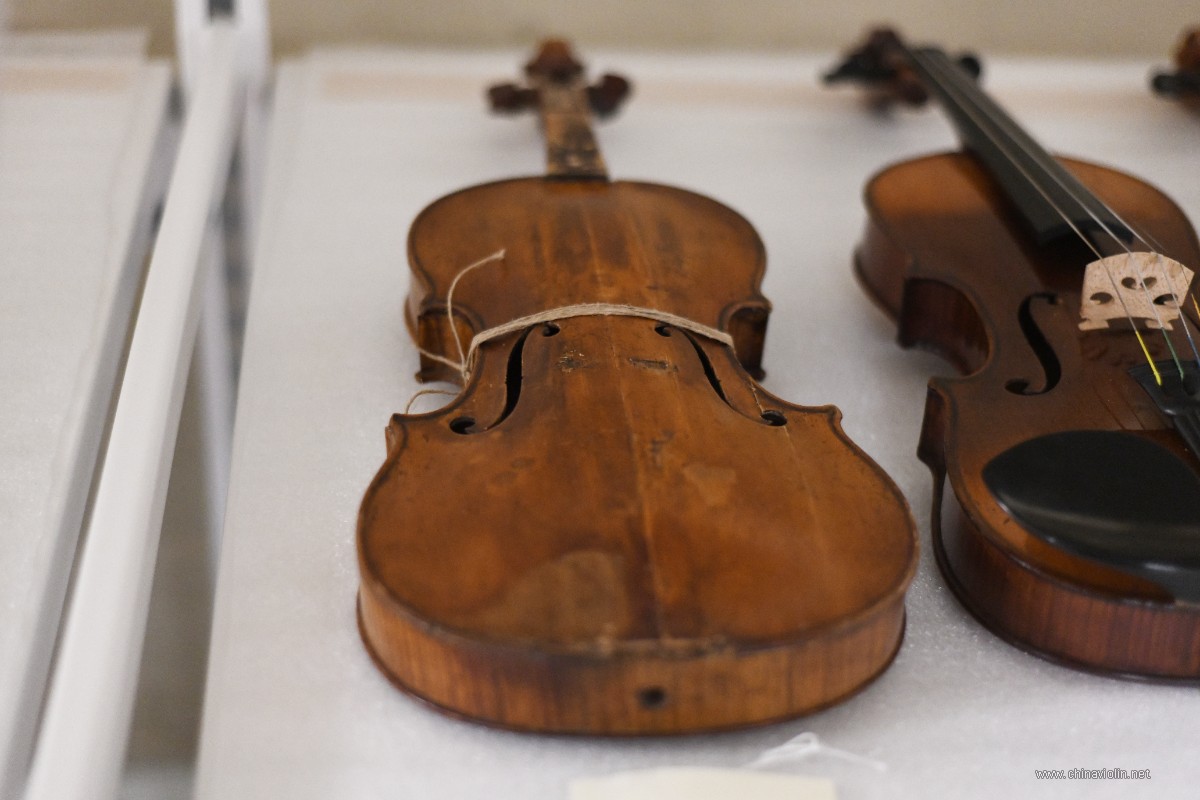 HH violin left.jpg
