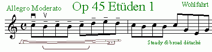 wohlfahrt_45_1a.gif