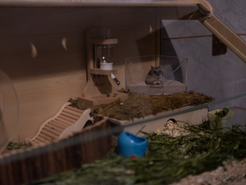 DSCF3551.jpg