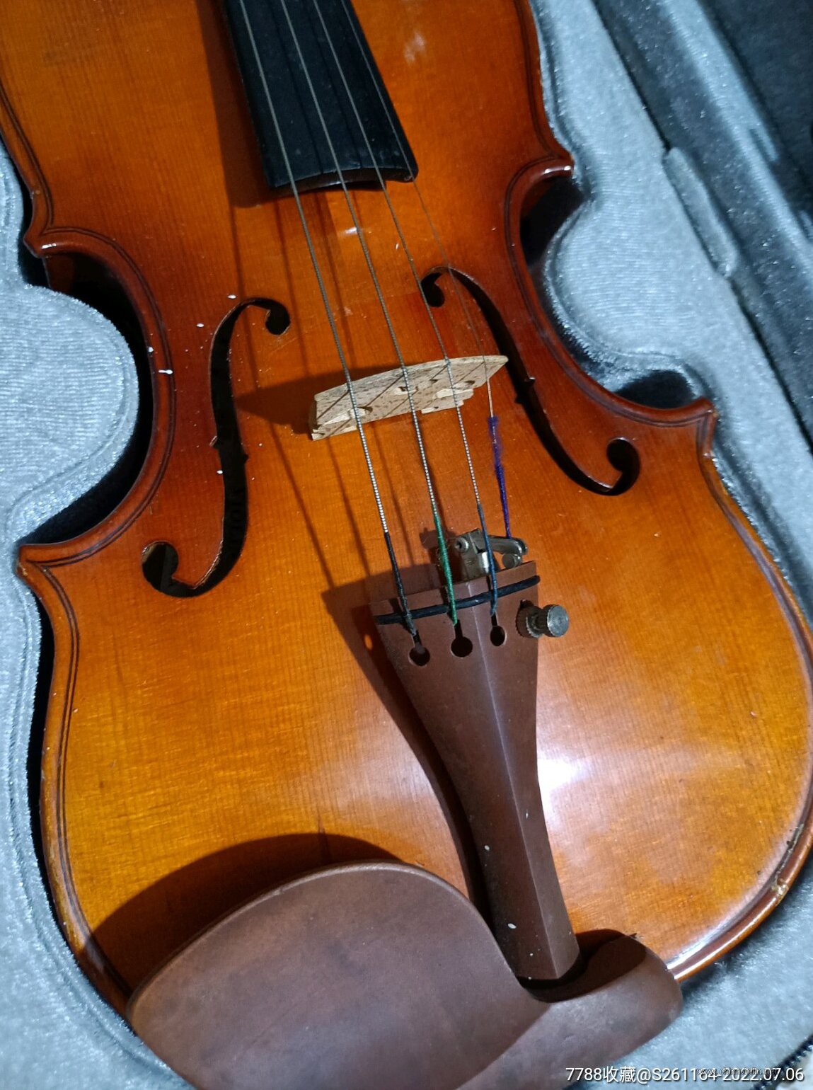 17313312b.jpg