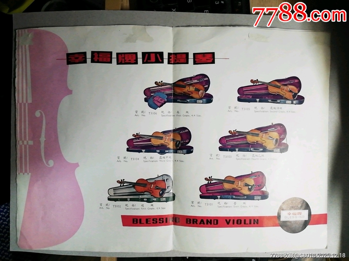10265174b.jpg