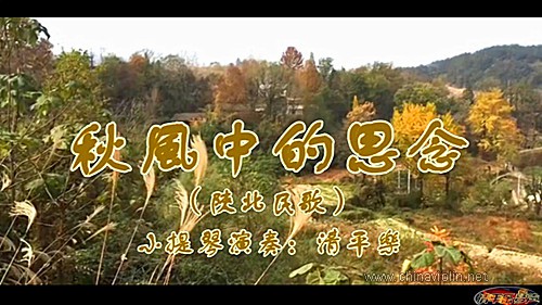 秋风中的思念.jpg