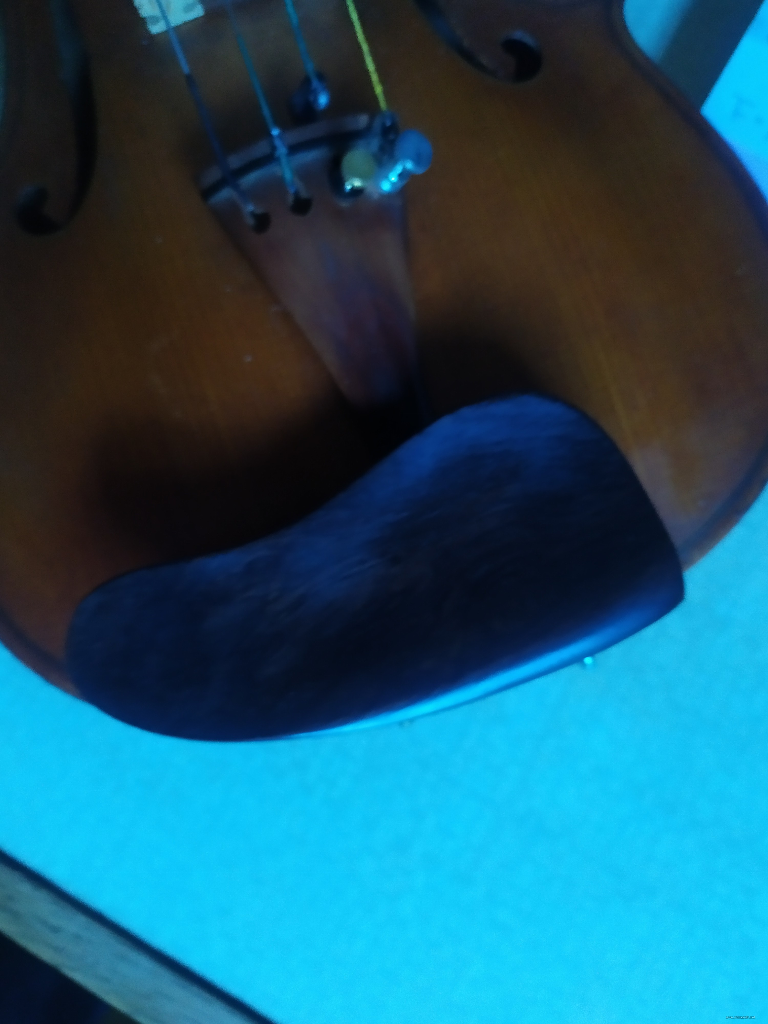 IMG_20221209_142917.jpg