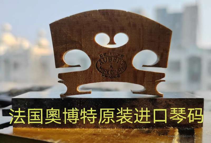 WeChat 圖片_20230316143505.jpg
