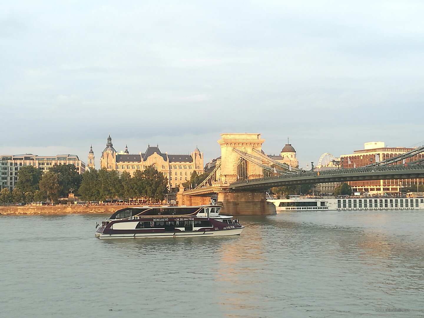mmexport1680316971589.jpg