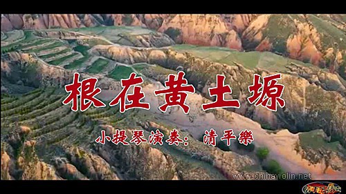 《根在黄土塬》（小提琴演奏）