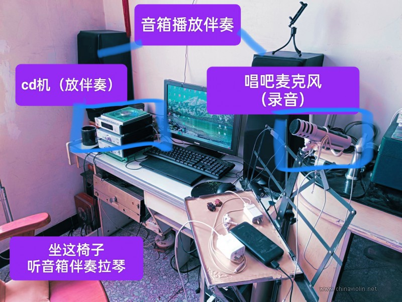 我用D调拉的《天鹅》