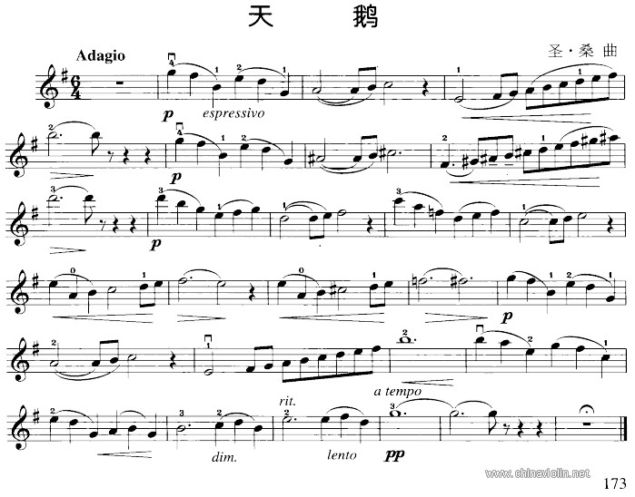 天鹅.jpg