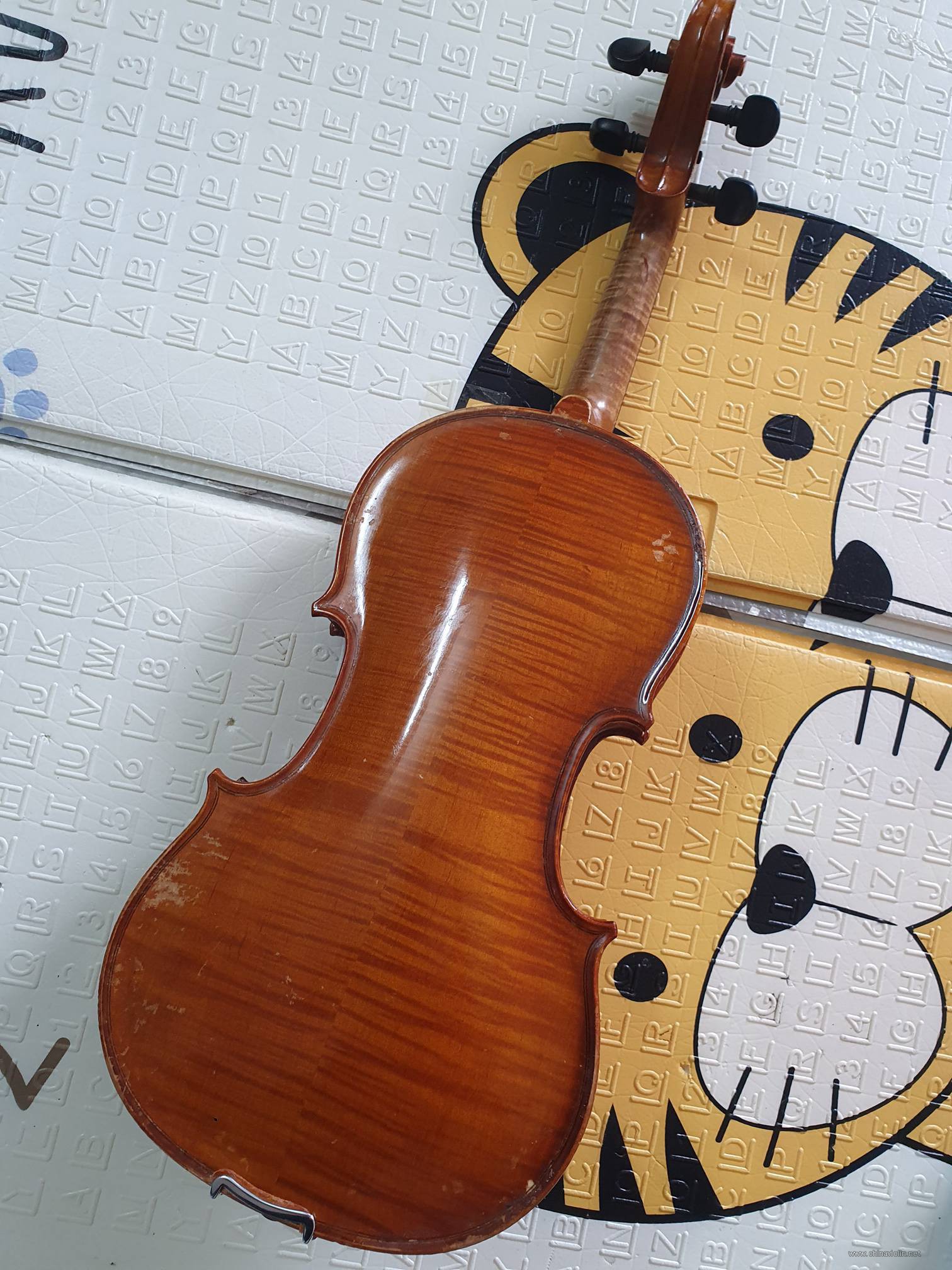 背面