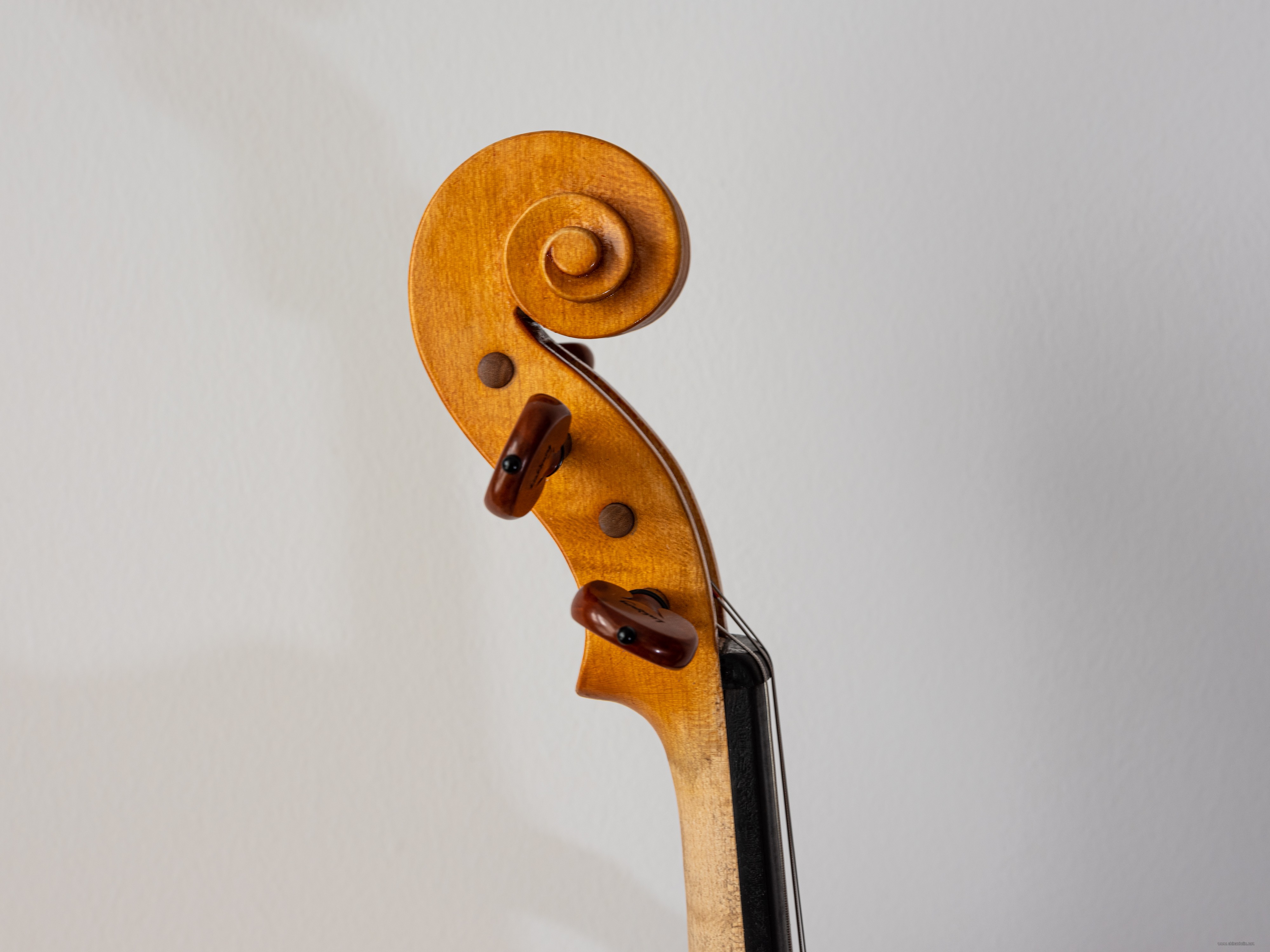 DSCF3934.jpg