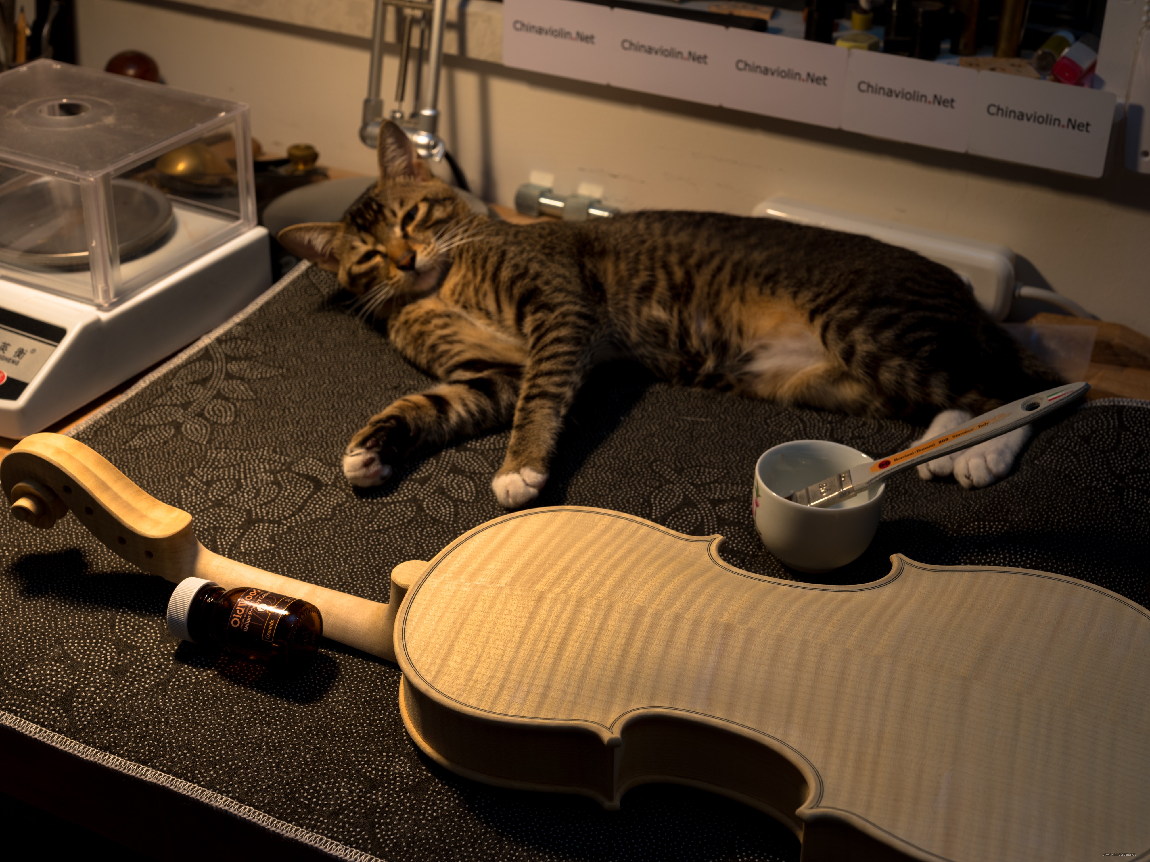 DSCF4319.jpg
