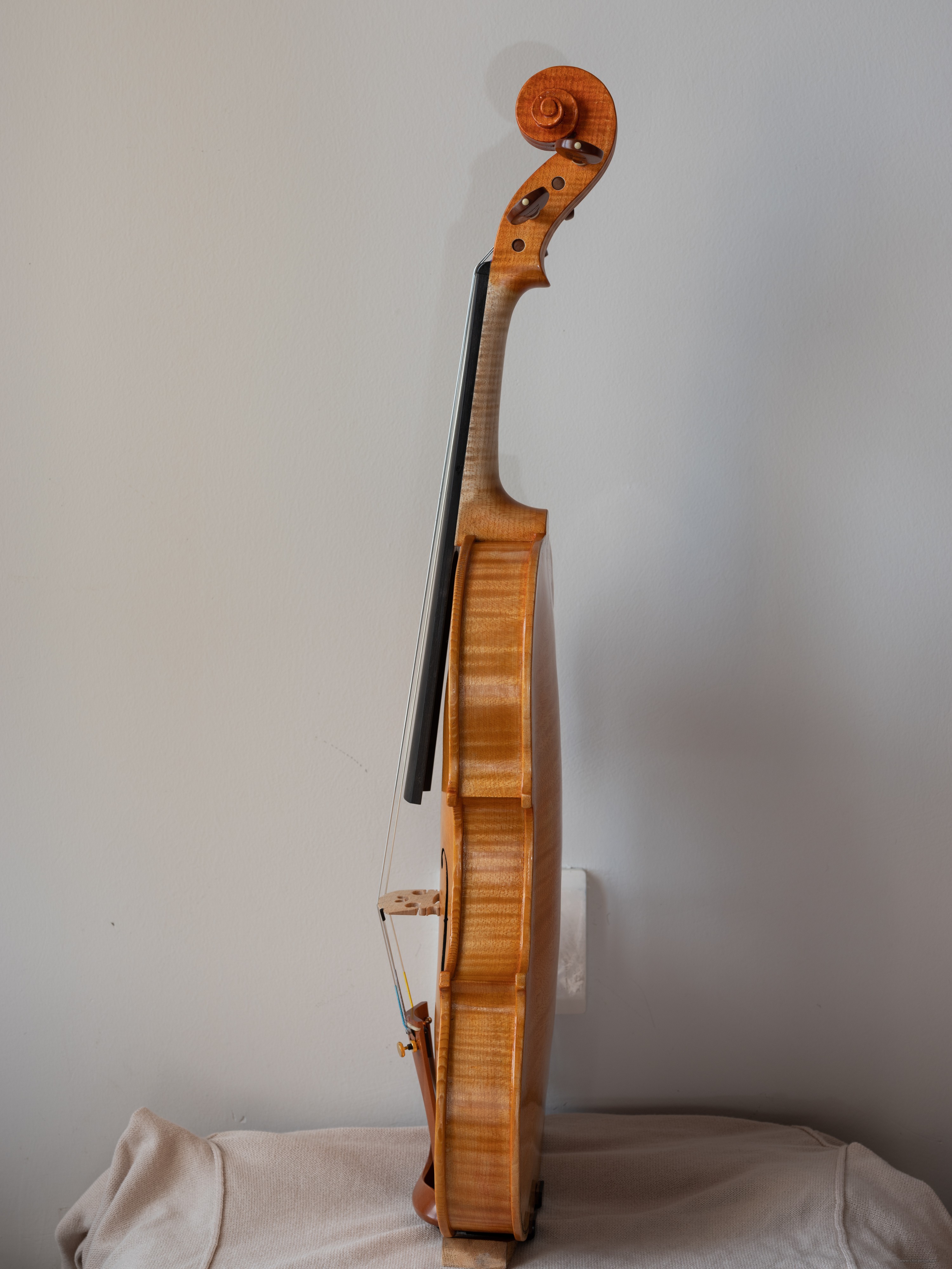 DSCF4491.jpg