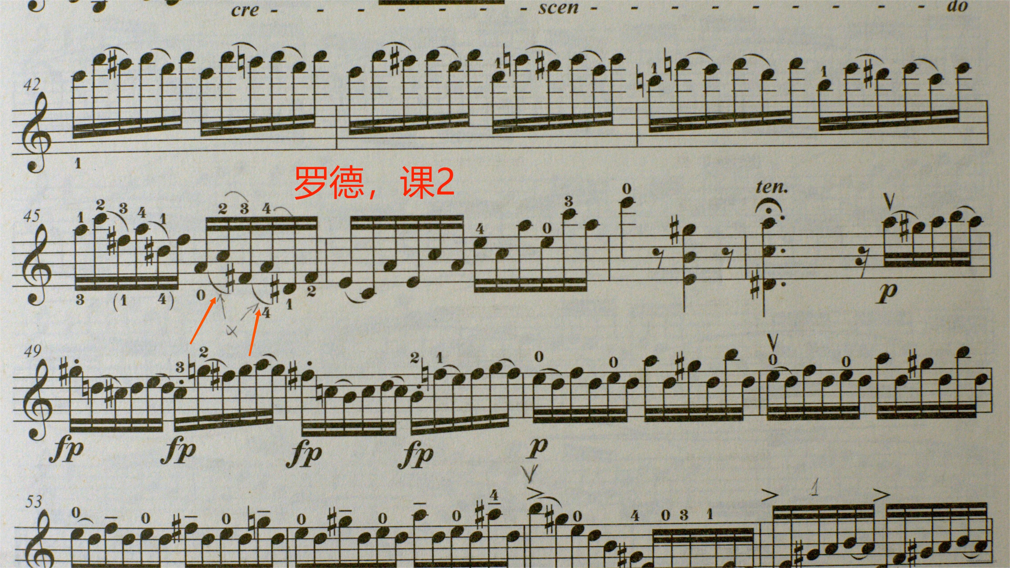 罗德_1.2.1.jpg