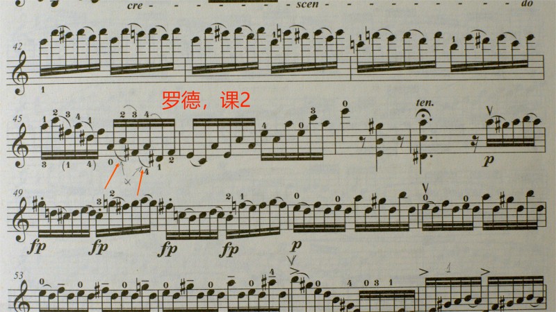 罗德_1.2.1.jpg
