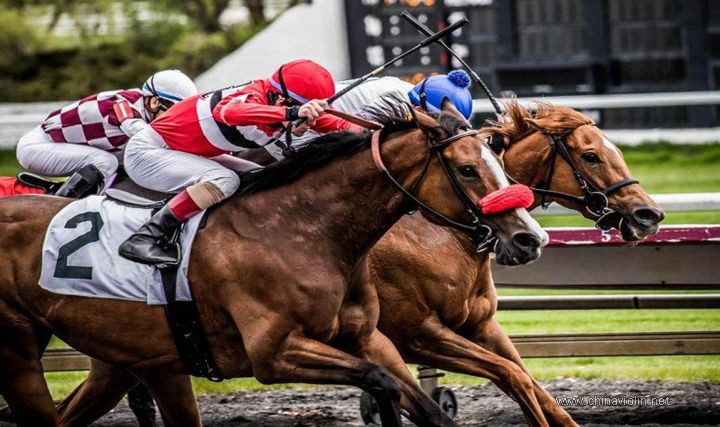 Carlos Gardel《Por Una Cabeza》《一步之遥》