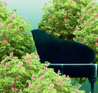 柴科夫斯基《如歌的行板》