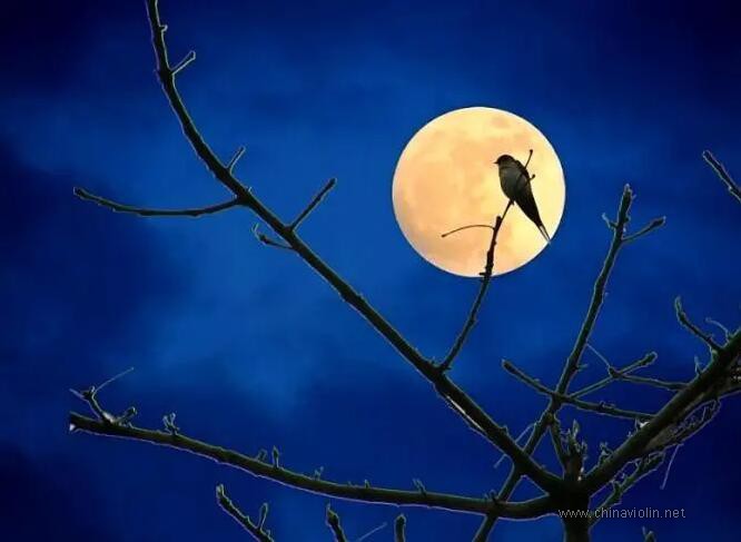 舒伯特《小夜曲》