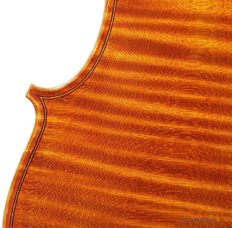 Z296-15.JPG