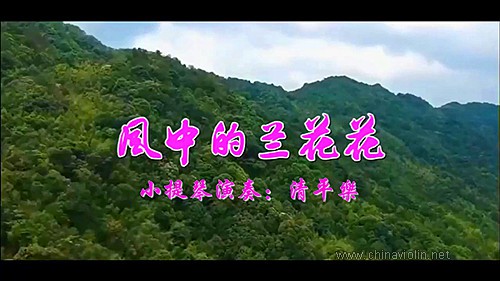风中的兰花花.jpg