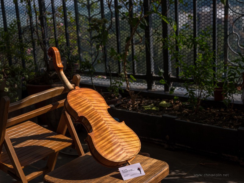 小提琴油性漆阳光晒干和紫外灯晒干效果差异科学分析