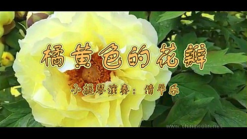 黄色.jpg