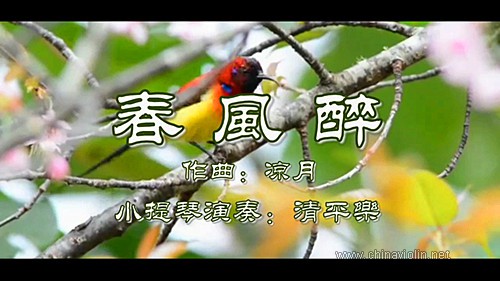 春风.jpg