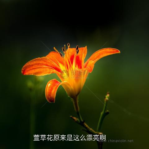IMG_20250429_001351.jpg