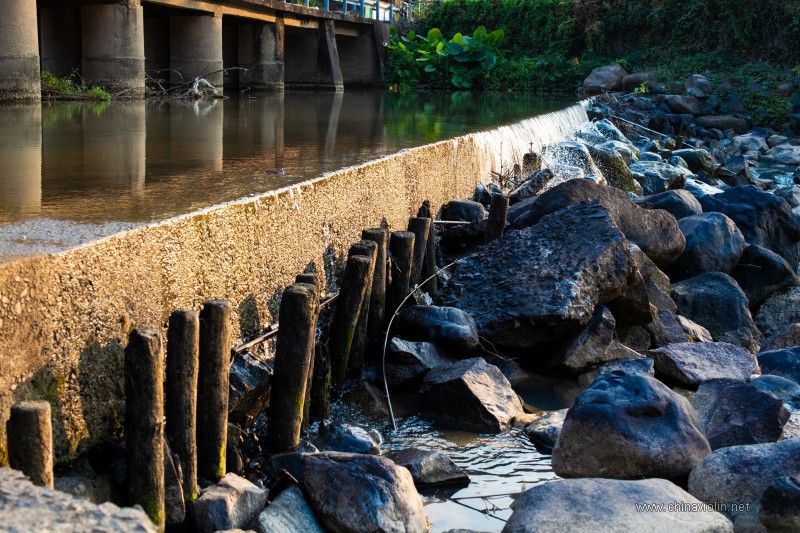 不同快门速度下的表现能力