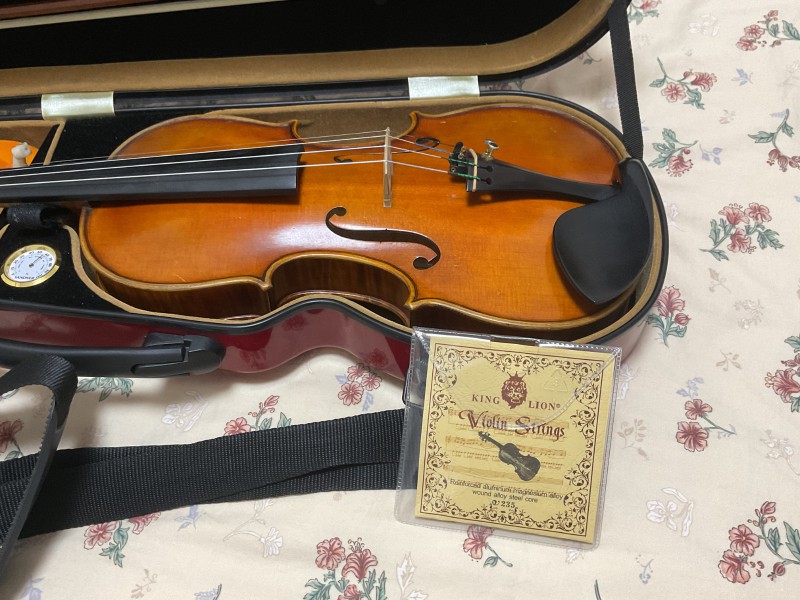 高三牲重新捡起小提琴