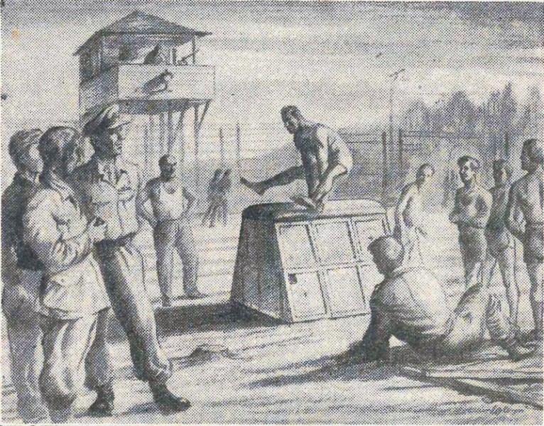 [历史中的小提琴]二战中的 Tom Wilson「木马」小提琴