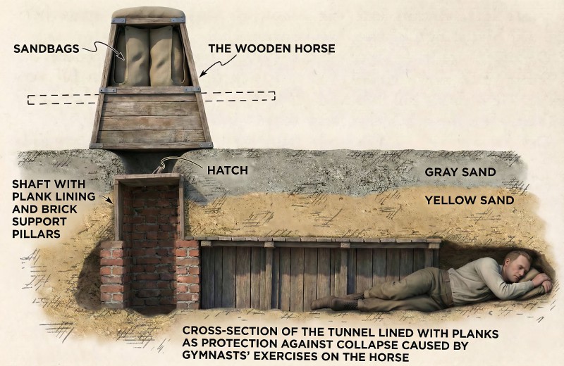 Wooden-Horse-explained_3.jpg