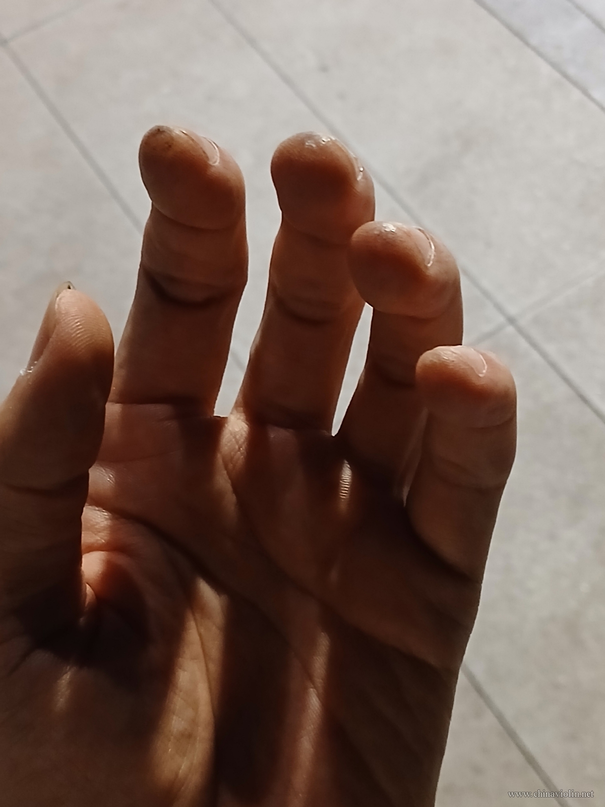 4741.jpg